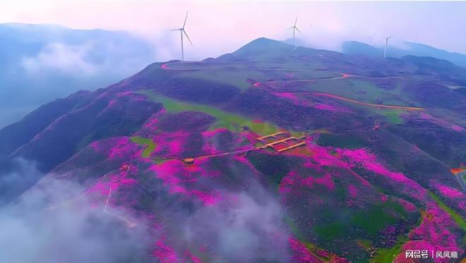 周末最新社保和高盛同时吃进宠物龙头社保新近2个被套牢