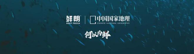 国内首个《鲜肉烘焙全价宠物食品》标准开元棋牌app从开创到引领：鲜朗发布(图12)